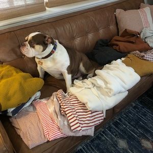 women’s Clothing Lot madewell